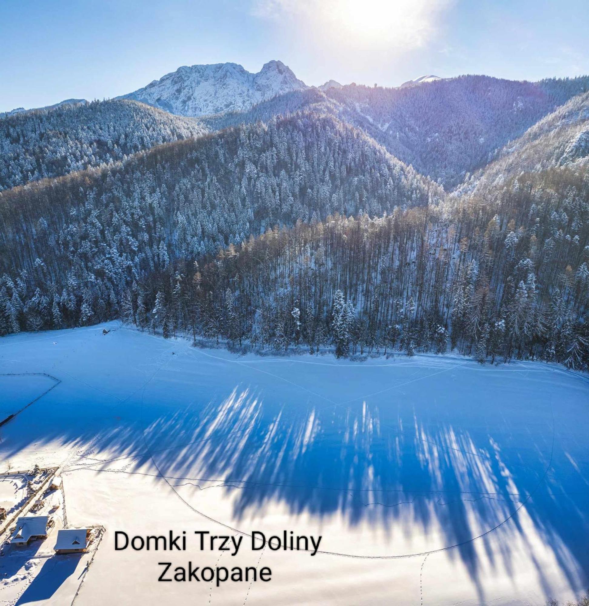 Domek Trzy Doliny Zakopane, Three Valleys Chalet With Jacuzzi エクステリア 写真