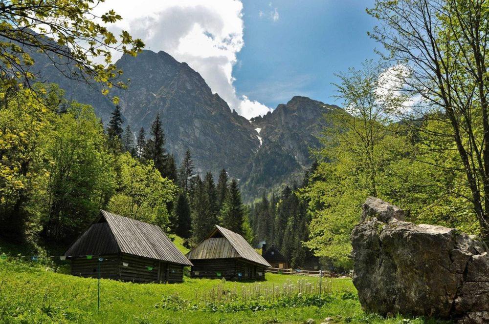 Domek Trzy Doliny Zakopane, Three Valleys Chalet With Jacuzzi エクステリア 写真
