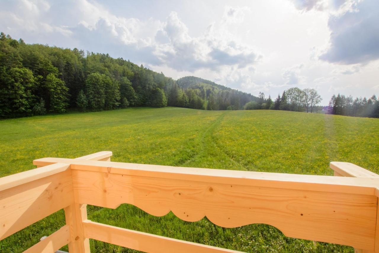Domek Trzy Doliny Zakopane, Three Valleys Chalet With Jacuzzi エクステリア 写真